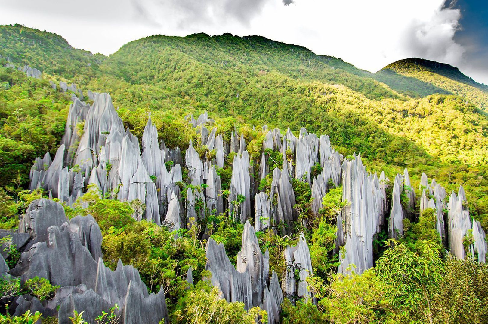 Discover The Gunung Mulu National Park Bike And Tours