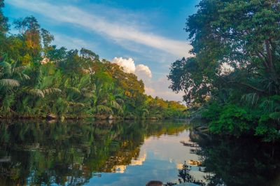 Kinabatangan River DSC00711.jpg