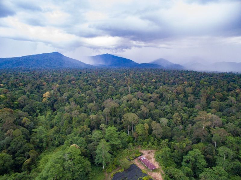 Deramakot Forest Reserve The Heart Of Sabah |Bike And Tours